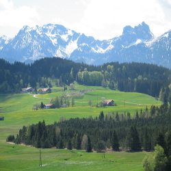 Neuschwanstein  Picture 051.jpg